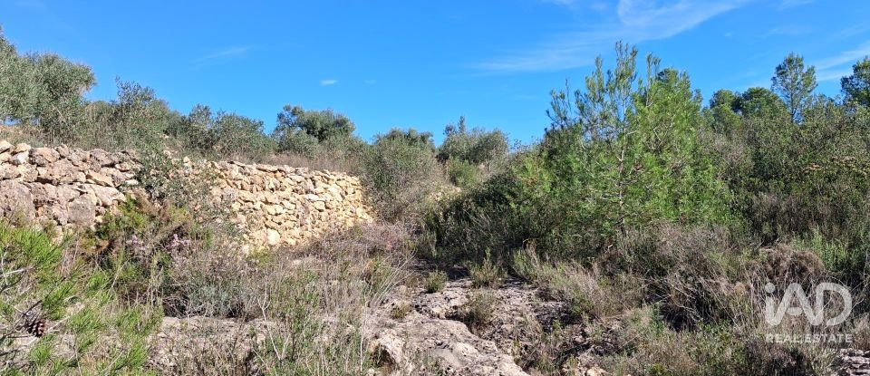 Land of 13,898 m² in Tivissa (43746)