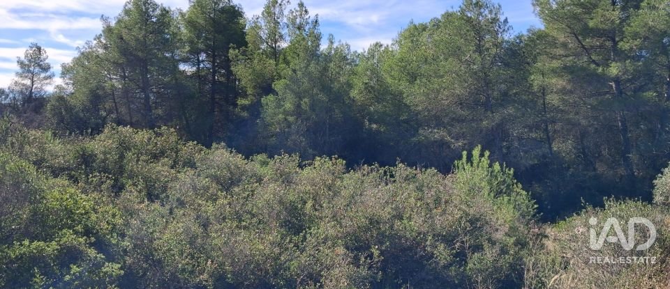 Land of 13,898 m² in Tivissa (43746)