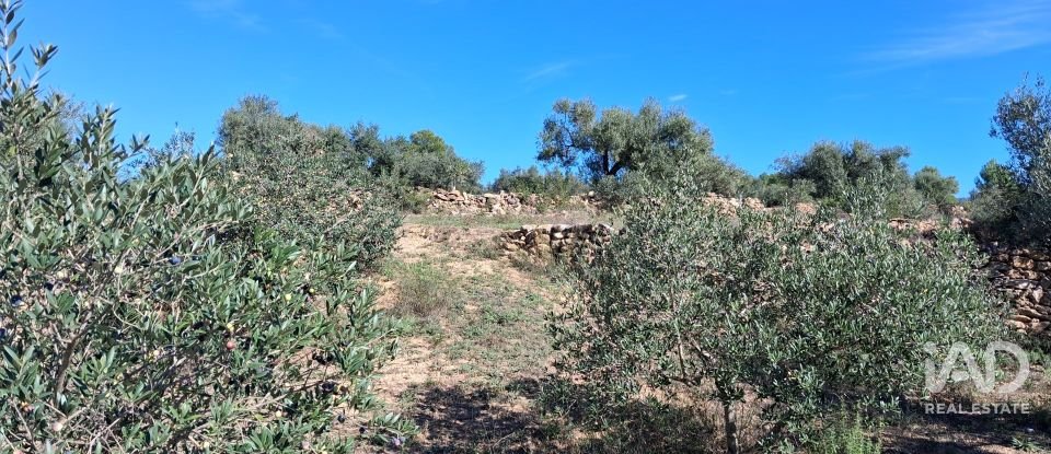 Land of 13,898 m² in Tivissa (43746)