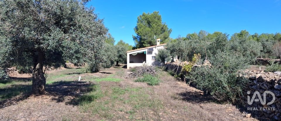 Land of 13,898 m² in Tivissa (43746)