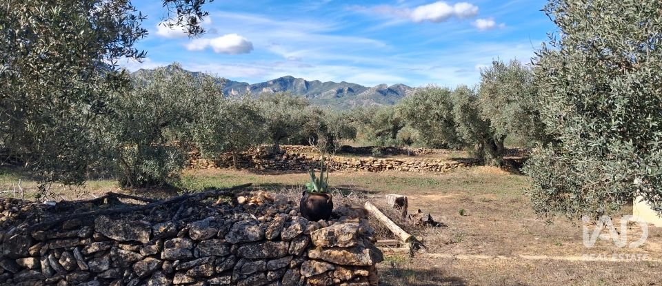 Land of 13,898 m² in Tivissa (43746)