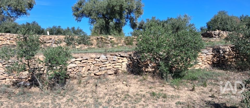 Land of 13,898 m² in Tivissa (43746)