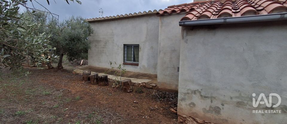 Land of 13,898 m² in Tivissa (43746)