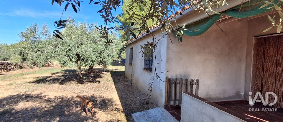 Land of 13,898 m² in Tivissa (43746)