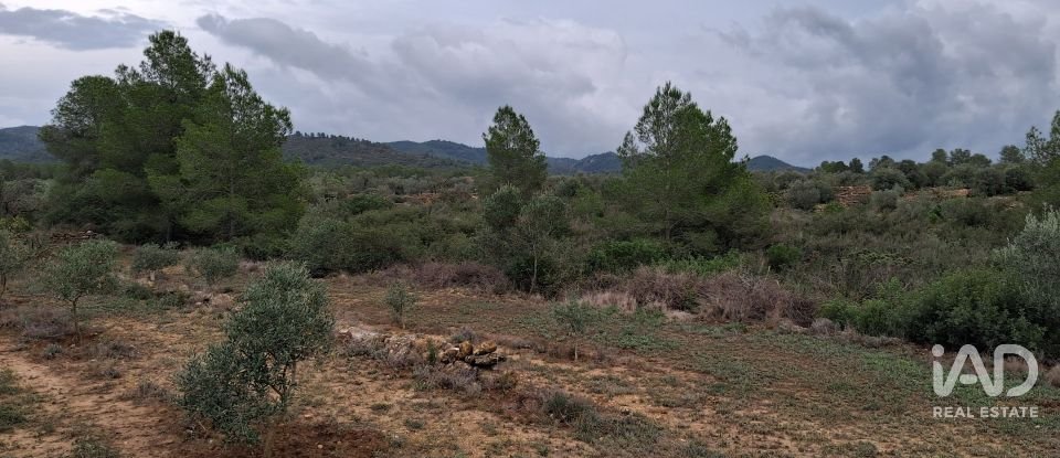 Land of 13,898 m² in Tivissa (43746)