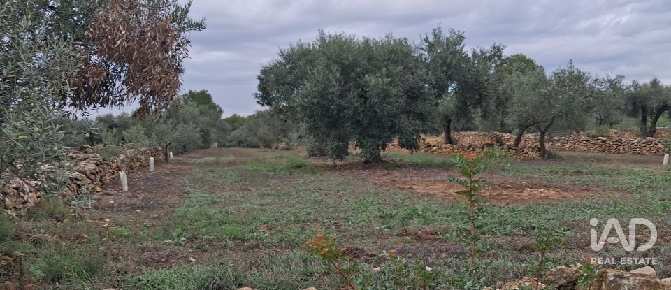 Land of 13,898 m² in Tivissa (43746)