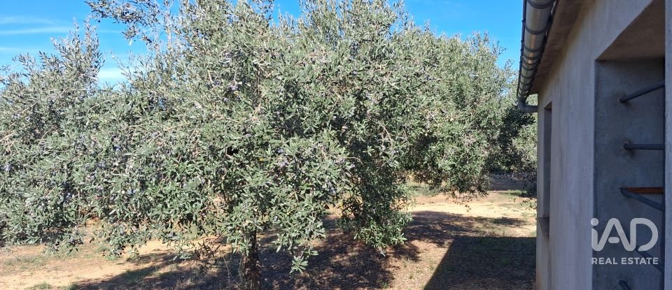 Land of 13,898 m² in Tivissa (43746)