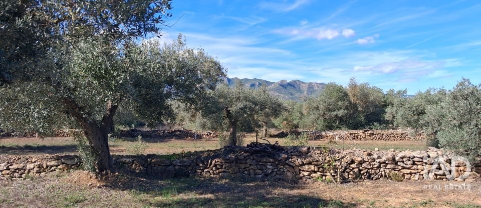 Land of 13,898 m² in Tivissa (43746)