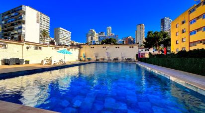 Apartment 1 bedroom of 42 m² in Benidorm (03503)