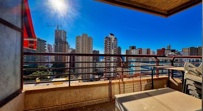 Apartment 1 bedroom of 42 m² in Benidorm (03503)