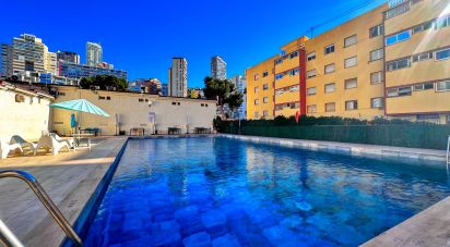 Apartment 1 bedroom of 42 m² in Benidorm (03503)