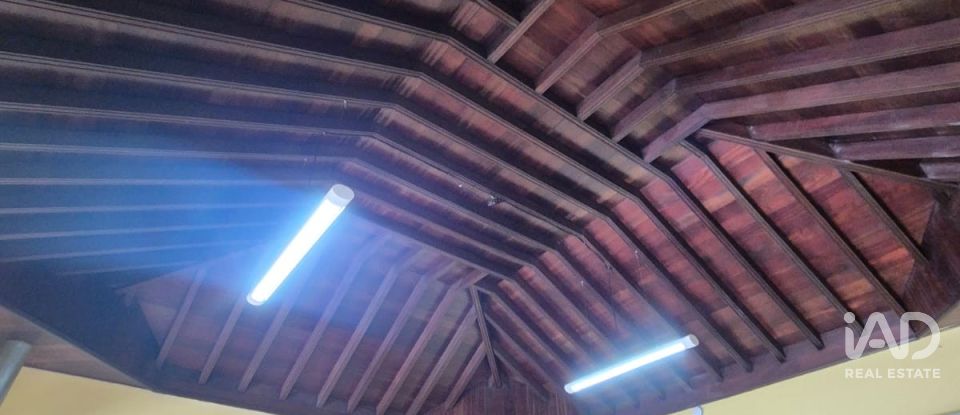 Botiga / Local comercial de 600 m² a San Cristóbal de La Laguna (38201)