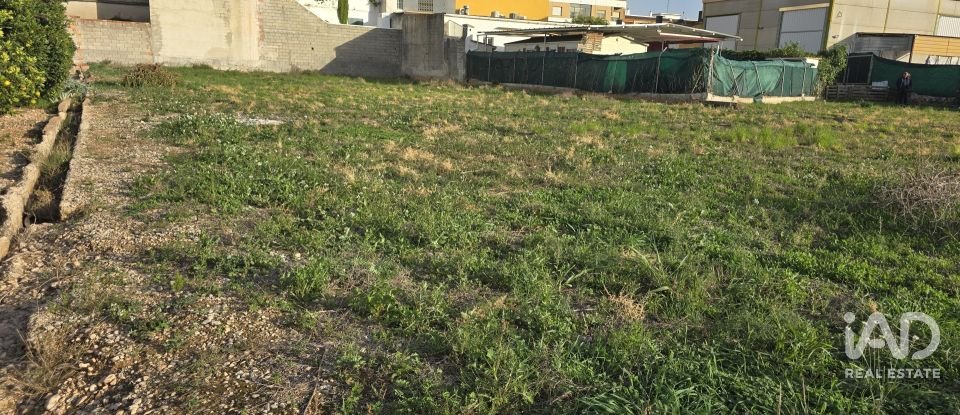 Building plot of 1,737 m² in El Verger (03770)