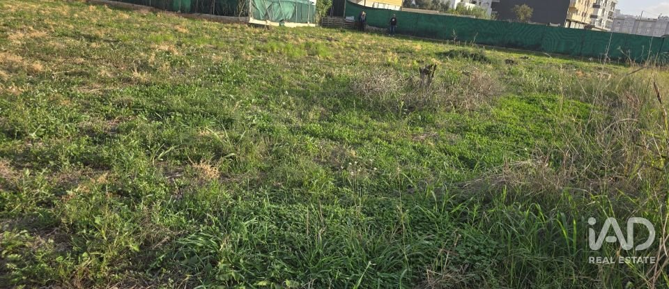 Building plot of 1,737 m² in El Verger (03770)