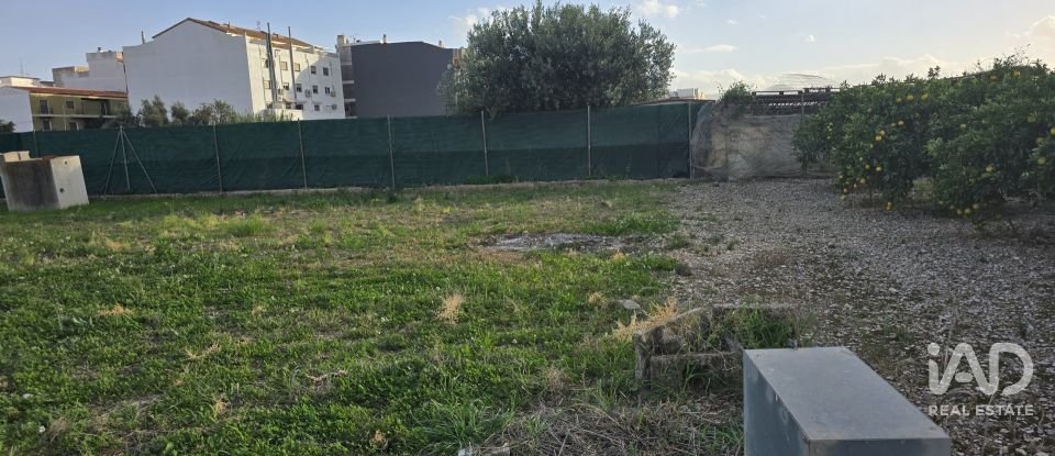 Building plot of 1,737 m² in El Verger (03770)