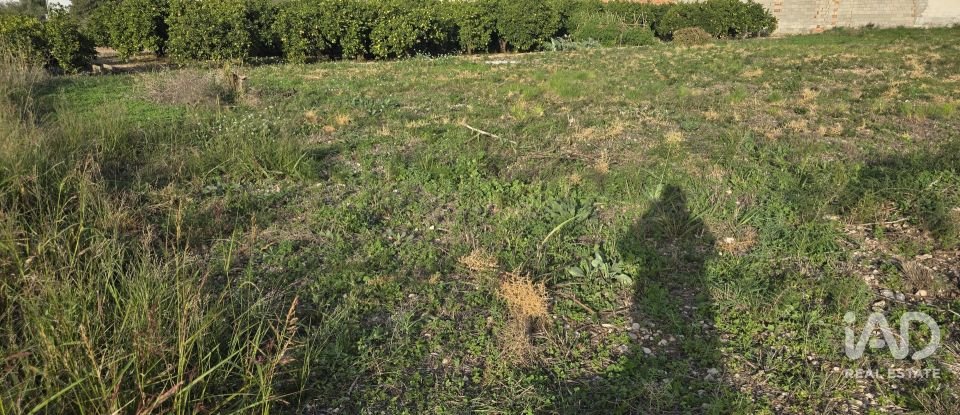 Building plot of 1,737 m² in El Verger (03770)