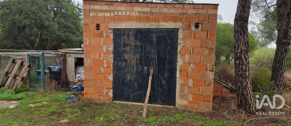 Land of 14,359 m² in Villablanca (21590)