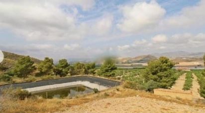 Farm land of 38,740 m² in Alcanara (30813)