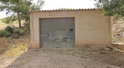 Farm land of 38,740 m² in Alcanara (30813)