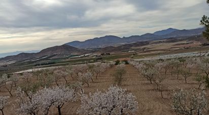 Farm land of 38,740 m² in Alcanara (30813)