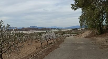 Farm land of 38,740 m² in Alcanara (30813)