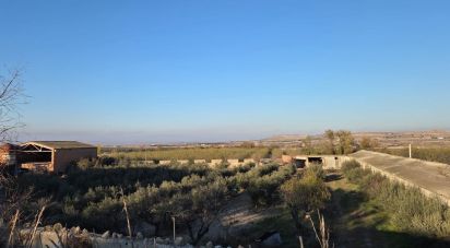 Land of 6,260 m² in Vilagrassa (25330)