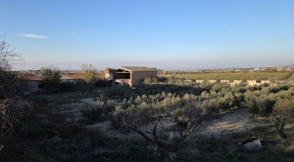 Terreno de 6.260 m² en Vilagrassa (25330)