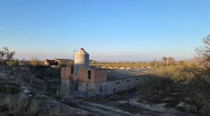 Land of 6,260 m² in Vilagrassa (25330)