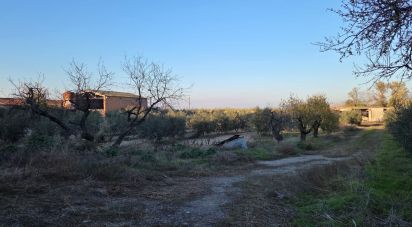 Land of 6,260 m² in Vilagrassa (25330)