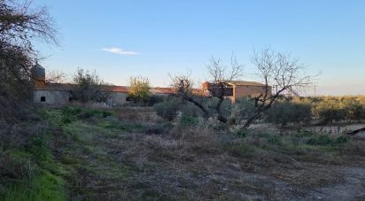 Land of 6,260 m² in Vilagrassa (25330)