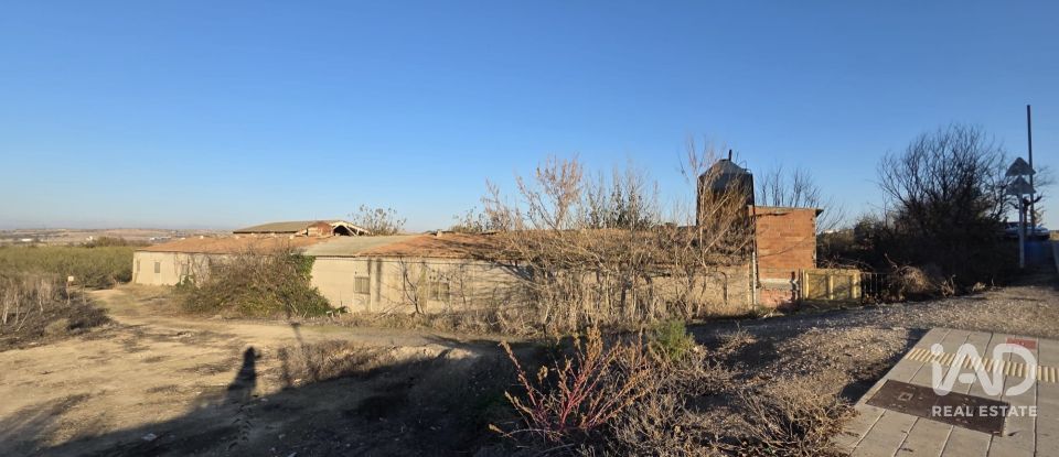 Terrain de 6 260 m² à Vilagrassa (25330)