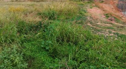 Land of 643 m² in Sagunt/Sagunto (46500)