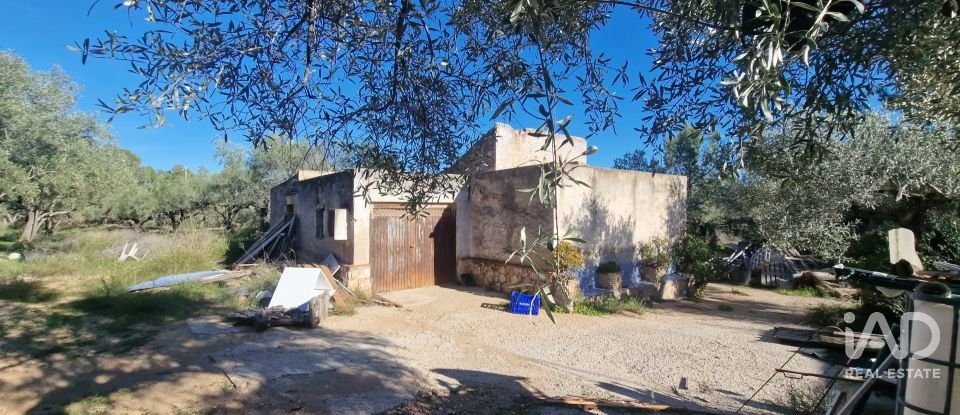 Maison 0 chambre de 198 m² à L'Ametlla de Mar (43860)