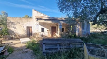 House 0 bedrooms of 198 m² in L'Ametlla de Mar (43860)