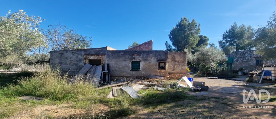 Maison 0 chambre de 198 m² à L'Ametlla de Mar (43860)