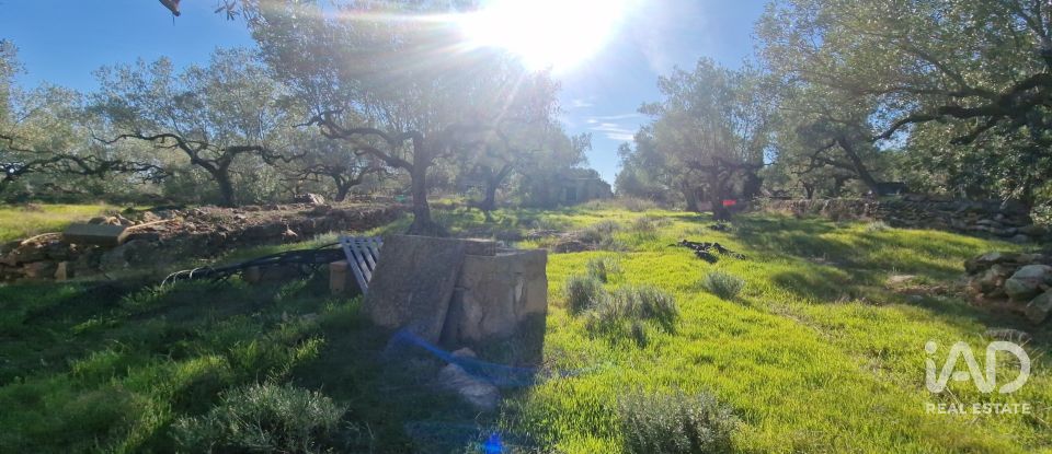 Maison 0 chambre de 198 m² à L'Ametlla de Mar (43860)