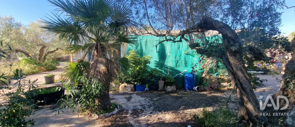 Maison 0 chambre de 198 m² à L'Ametlla de Mar (43860)