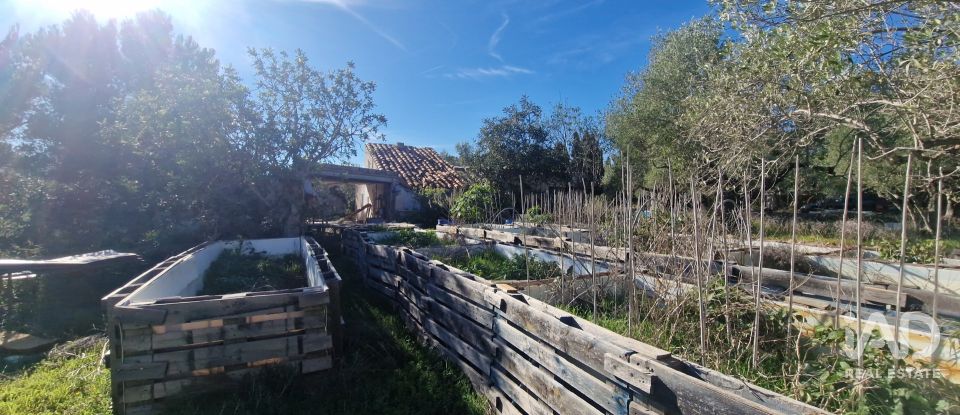 Maison 0 chambre de 198 m² à L'Ametlla de Mar (43860)