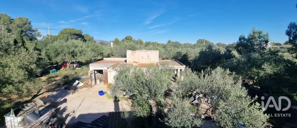 Maison 0 chambre de 198 m² à L'Ametlla de Mar (43860)