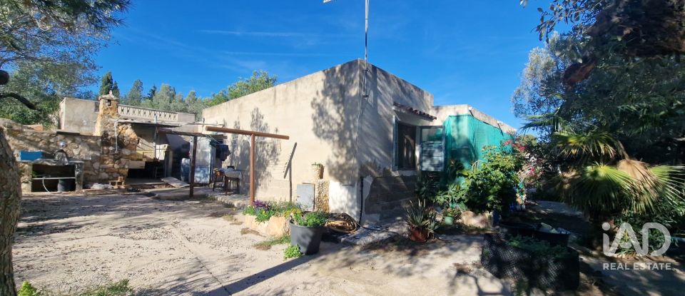 Maison 0 chambre de 198 m² à L'Ametlla de Mar (43860)