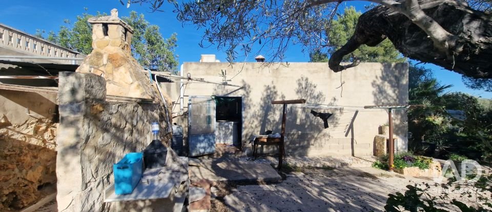 Maison 0 chambre de 198 m² à L'Ametlla de Mar (43860)