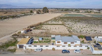 Cottage 3 bedrooms of 124 m² in Elx/Elche (03294)