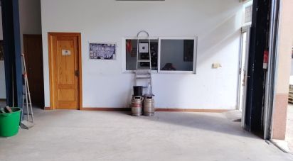 Botiga / Local comercial de 300 m² a El Chaparral (18290)