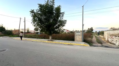 Land of 1,395 m² in Sant Jaume d'Enveja (43877)