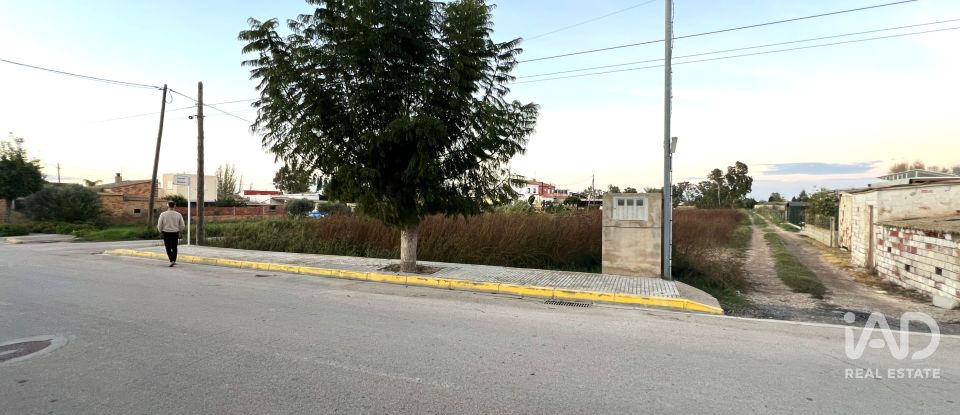 Terreny de 1.347 m² a Sant Jaume d'Enveja (43877)