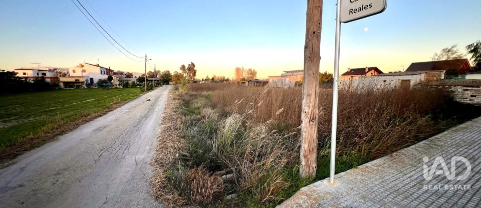 Terreny de 1.347 m² a Sant Jaume d'Enveja (43877)