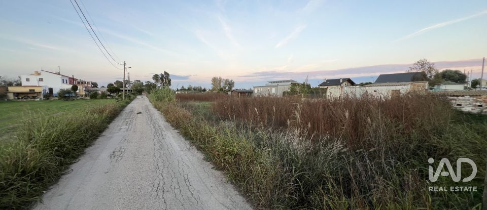 Terreny de 1.347 m² a Sant Jaume d'Enveja (43877)