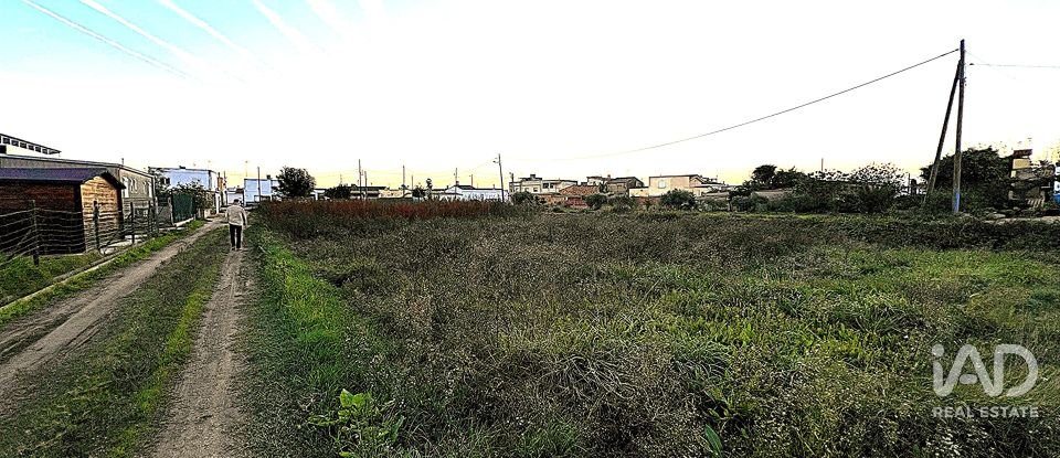 Terreny de 1.347 m² a Sant Jaume d'Enveja (43877)