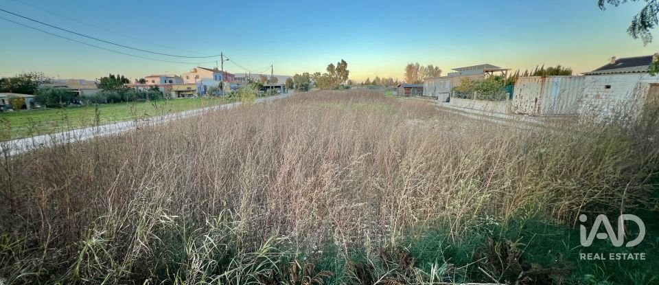 Terreny de 1.347 m² a Sant Jaume d'Enveja (43877)