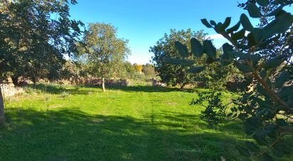 Terreno de 14.172 m² en Santa Margalida (07450)